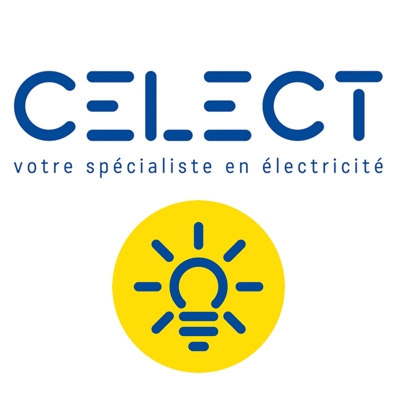 CELECT <strong> </strong> Domotique